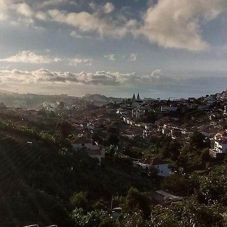 Vista Funchal Leilighet Eksteriør bilde